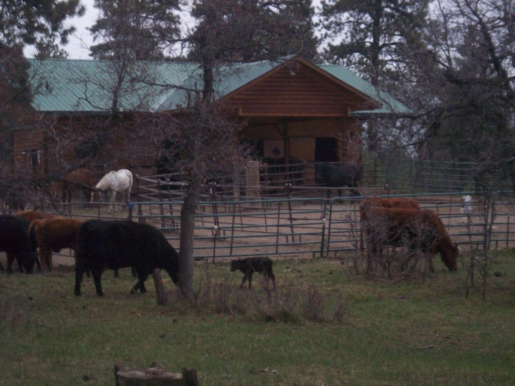 Elktrace Bed And Breakfast Pagosa Springs Exterior photo