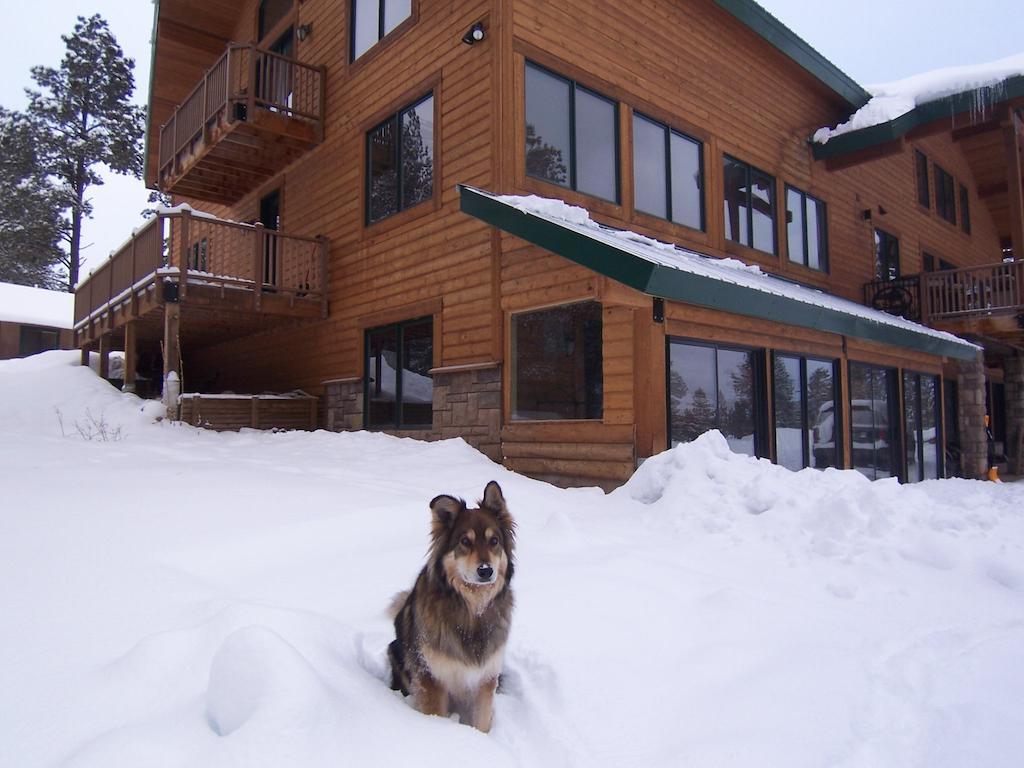 Elktrace Bed And Breakfast Pagosa Springs Exterior photo