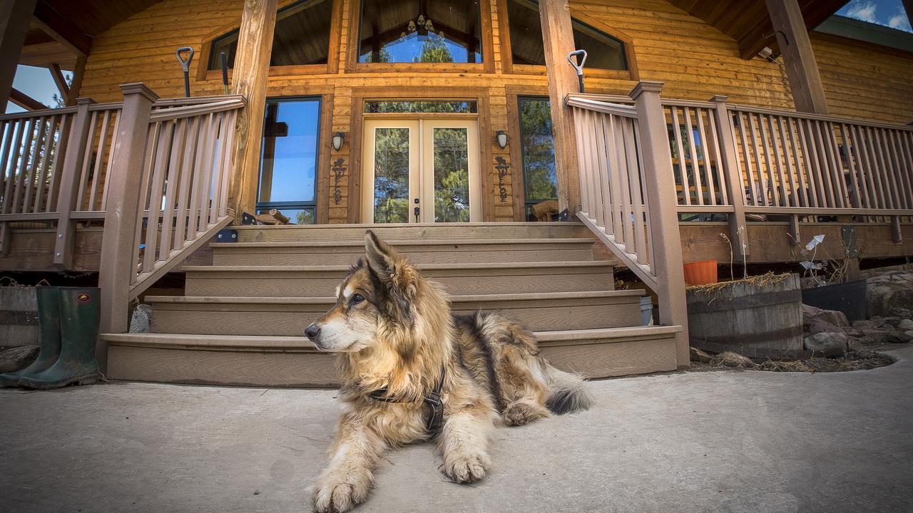 Elktrace Bed And Breakfast Pagosa Springs Exterior photo